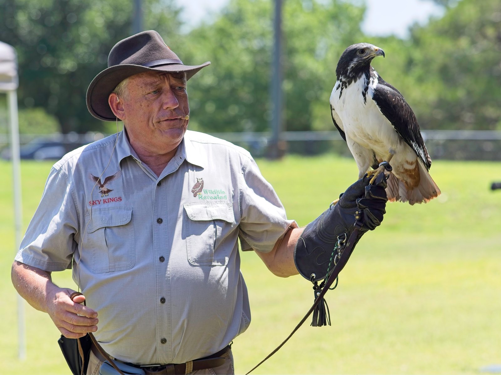 A falconer in a brown hat holding a black and white hawk on a leather glove