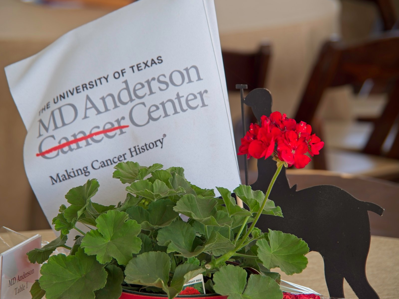 An MD Anderson Cancer Center table flag beside red geraniums and a polo player silhouette